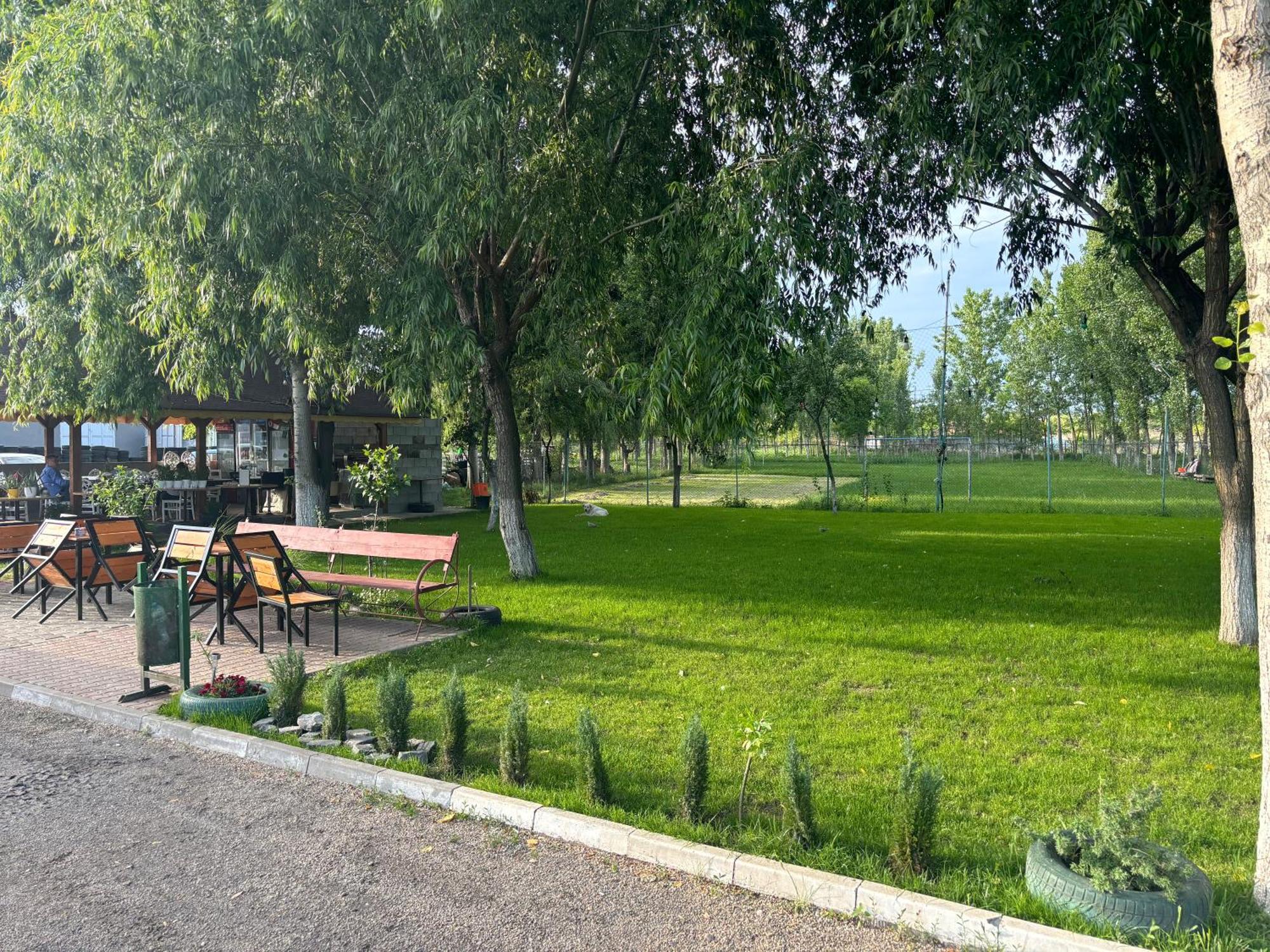 Villa Gigios Sport&Relax Bailesti Exterior foto